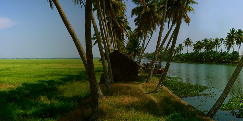 Our efforts for a clean and green backwaters in Kumarakom